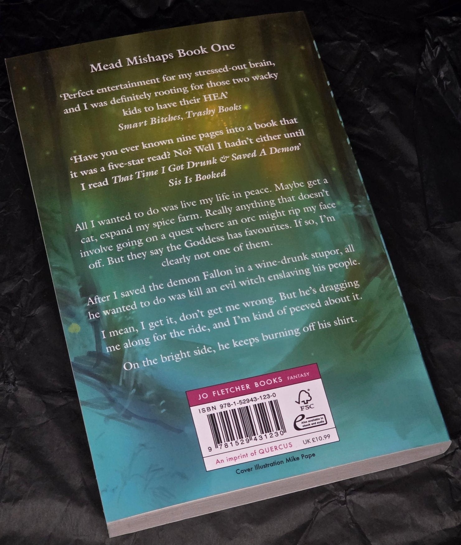 That Time I Got Drunk and Saved a Demon (Mead Mishaps 1), by Kimberly Lemming (softback, english edition) - Book - The Dark Rose Emporium