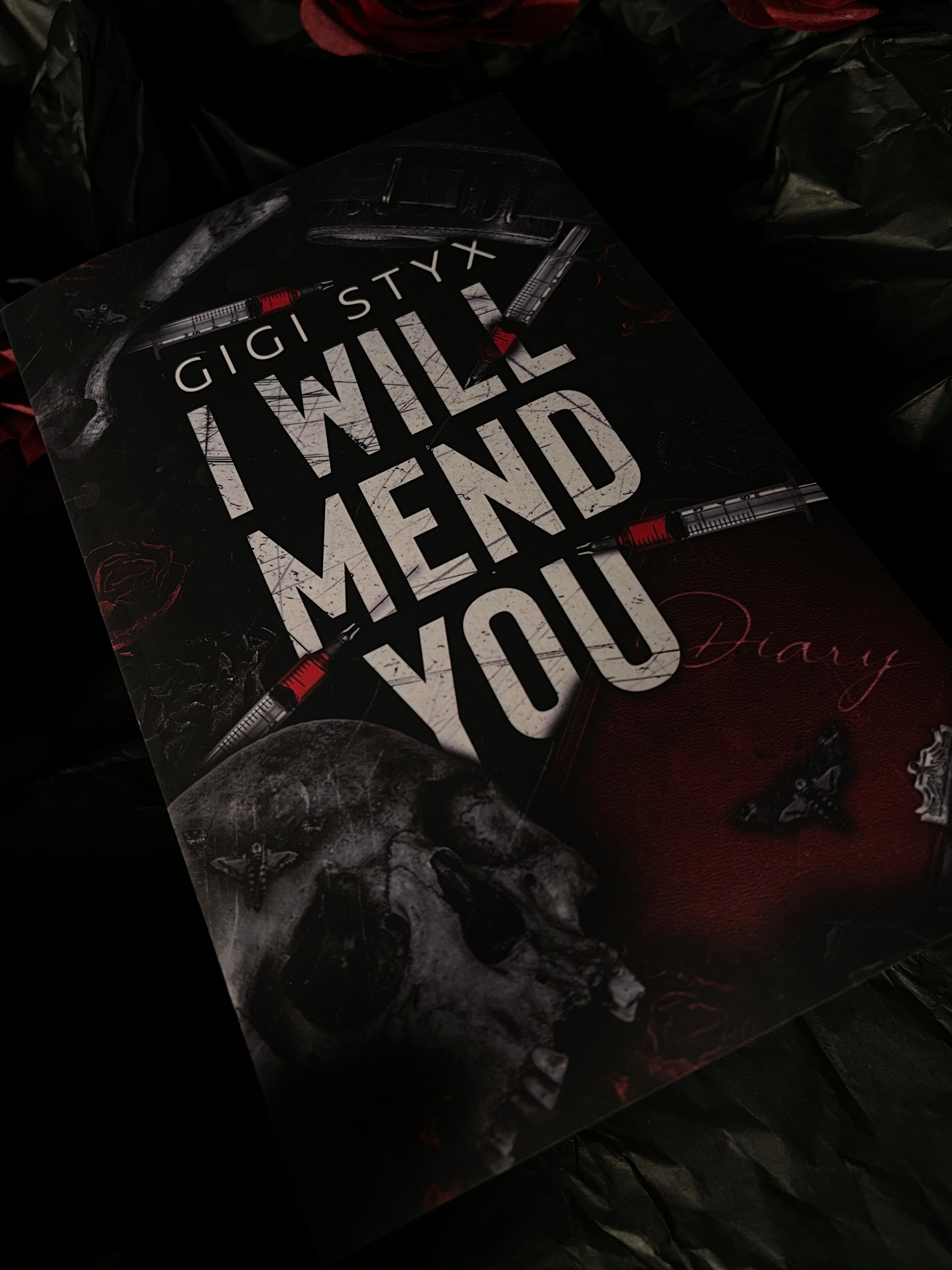 I Will Mend You, av Gigi Styx (pocketutgåva, engelsk utgåva)