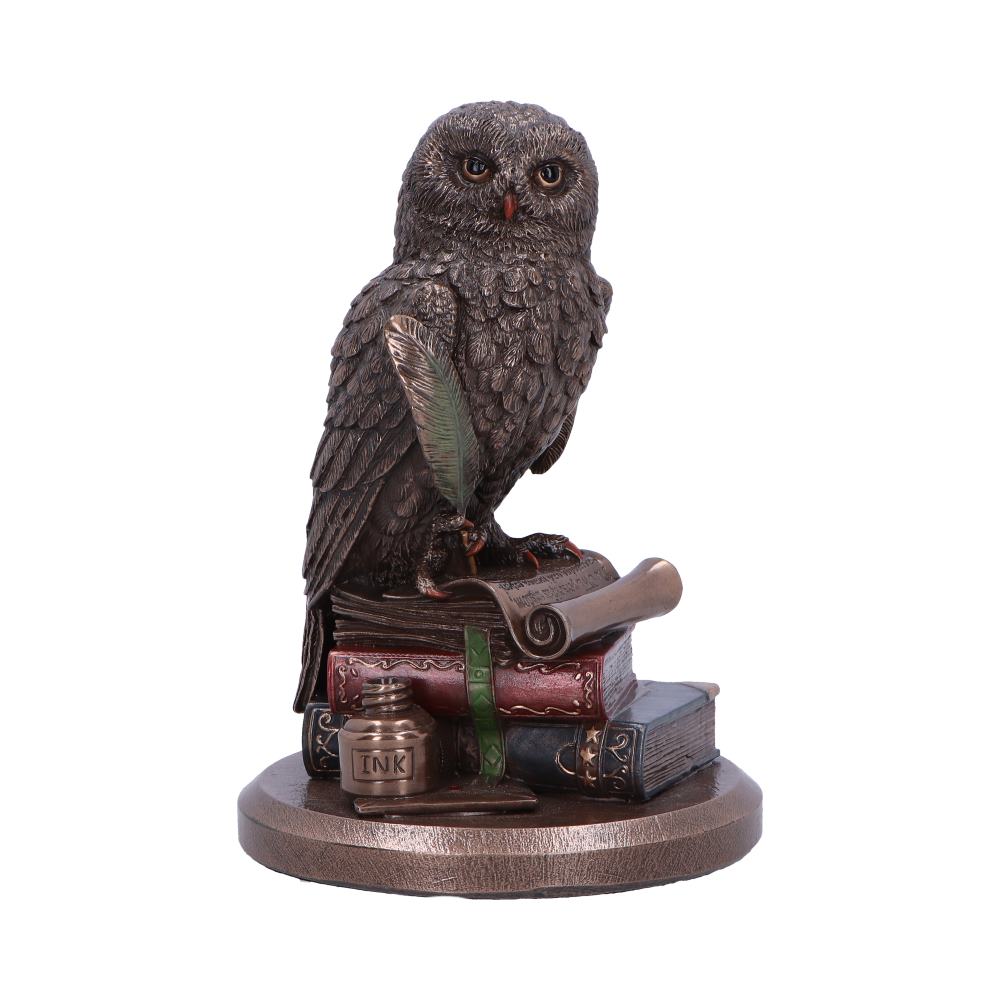 An Owl's Tale - Decoration - The Dark Rose Emporium